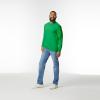 imageGildan Adult Heavy Cotton Long Sleeve TShirt Style G5400 2PackIrish Green