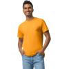 imageGildan Adult Heavy Cotton TShirt Style G5000 MultipackGold 2pack