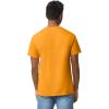 imageGildan Adult Heavy Cotton TShirt Style G5000 MultipackGold 2pack