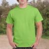 imageGildan Adult Heavy Cotton TShirt Style G5000 MultipackLime 2pack