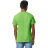 imageGildan Adult Heavy Cotton TShirt Style G5000 MultipackLime 2pack