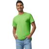 imageGildan Adult Heavy Cotton TShirt Style G5000 MultipackLime 2pack