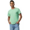 imageGildan Adult Heavy Cotton TShirt Style G5000 MultipackMint Green 2pack