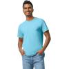 imageGildan Adult Heavy Cotton TShirt Style G5000 MultipackSky 2pack