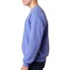 imageGildan Adult Softstyle Crewneck Sweatshirt Style GSF000Purple