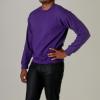 imageGildan Adult Softstyle Crewneck Sweatshirt Style GSF000Purple