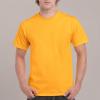 imageGildan Unisex Adult Ultra Cotton TShirt Style G2000 MultipackGold 2pack