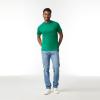 imageGildan Unisex Adult Ultra Cotton TShirt Style G2000 MultipackKelly Green 2pack