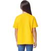 imageGildan Youth DryBlend TShirt Style G8000B 2PackDaisy