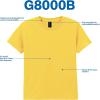 imageGildan Youth DryBlend TShirt Style G8000B 2PackDaisy