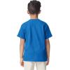 imageGildan Youth DryBlend TShirt Style G8000B 2PackRoyal