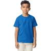 imageGildan Youth DryBlend TShirt Style G8000B 2PackRoyal