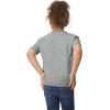 imageGildan Youth Toddler TShirt Style G5100P 2PackSport Grey