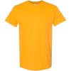 (1) Gold + (1) Graphite Heather