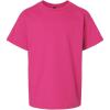 imageGildan Youth Ultra Cotton TShirt Style G2000B MultipackHeliconia 2pack