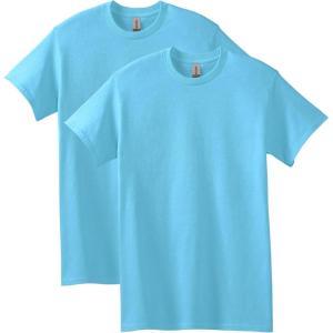 imageGildan Adult Heavy Cotton TShirt Style G5000 MultipackSky 2pack