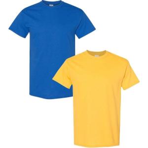 imageGildan Hammer Adult TShirt 2Pack Style GH000Royaldaisy