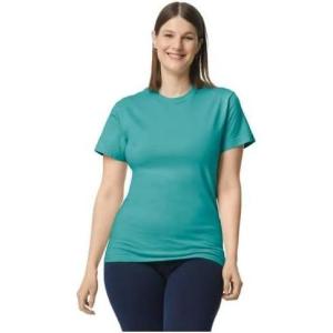 imageGildan Womens Heavy Cotton TShirt Style G5000L 2PackSeafoam