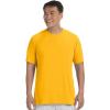 X-large gold