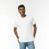 imageGildan Ultra Cotton TShirt Style G2000 MultipackAsh Grey 2pack