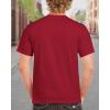 imageGildan Ultra Cotton TShirt Style G2000 MultipackCardinal Red 2pack