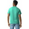 imageGildan Ultra Cotton TShirt Style G2000 MultipackJade Dome 2pack