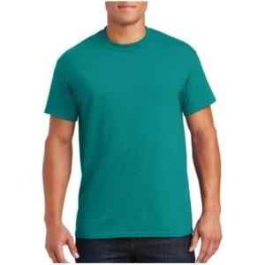 imageGildan Large Mens DryBlend Classic TShirtJadedome