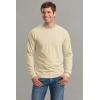 imageCotton 6 oz LongSleeve TShirt G240Sand