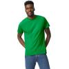 imageGildan UnisexAdult DryBlend TShirt Style G8000 MultipackIrish Green 2pack