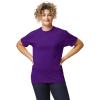 imageGildan UnisexAdult DryBlend TShirt Style G8000 MultipackPurple 2pack