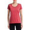 imageGildan Womens Softstyle Cotton TShirt Style G64000l MultipackHth Spt Scrlt Rd