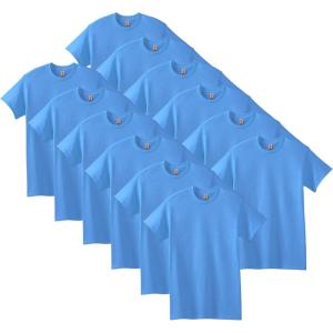 imageGildan Adult Heavy Cotton TShirt Style G5000 MultipackCarolina Blue